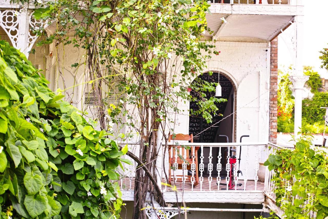 Hotel Florita Jacmel Dış mekan fotoğraf